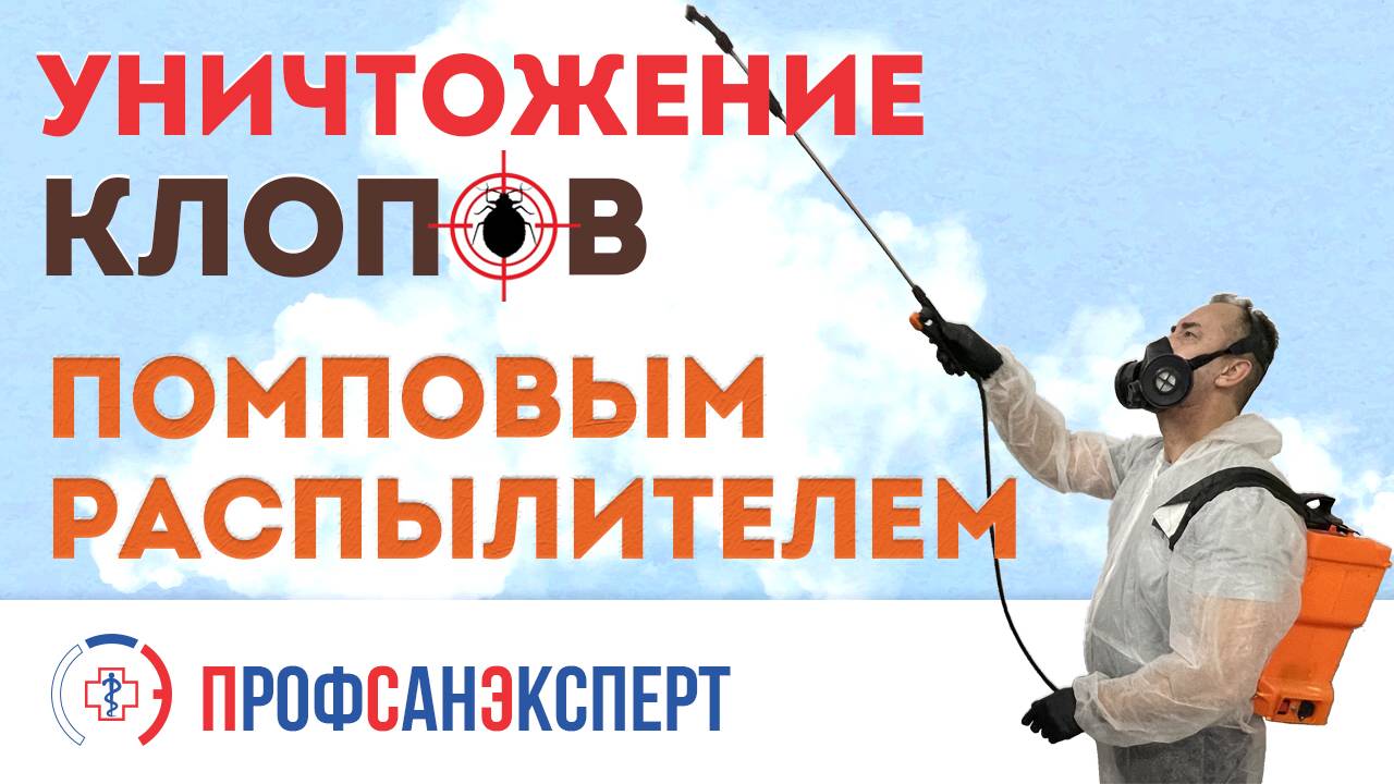 Видео превью